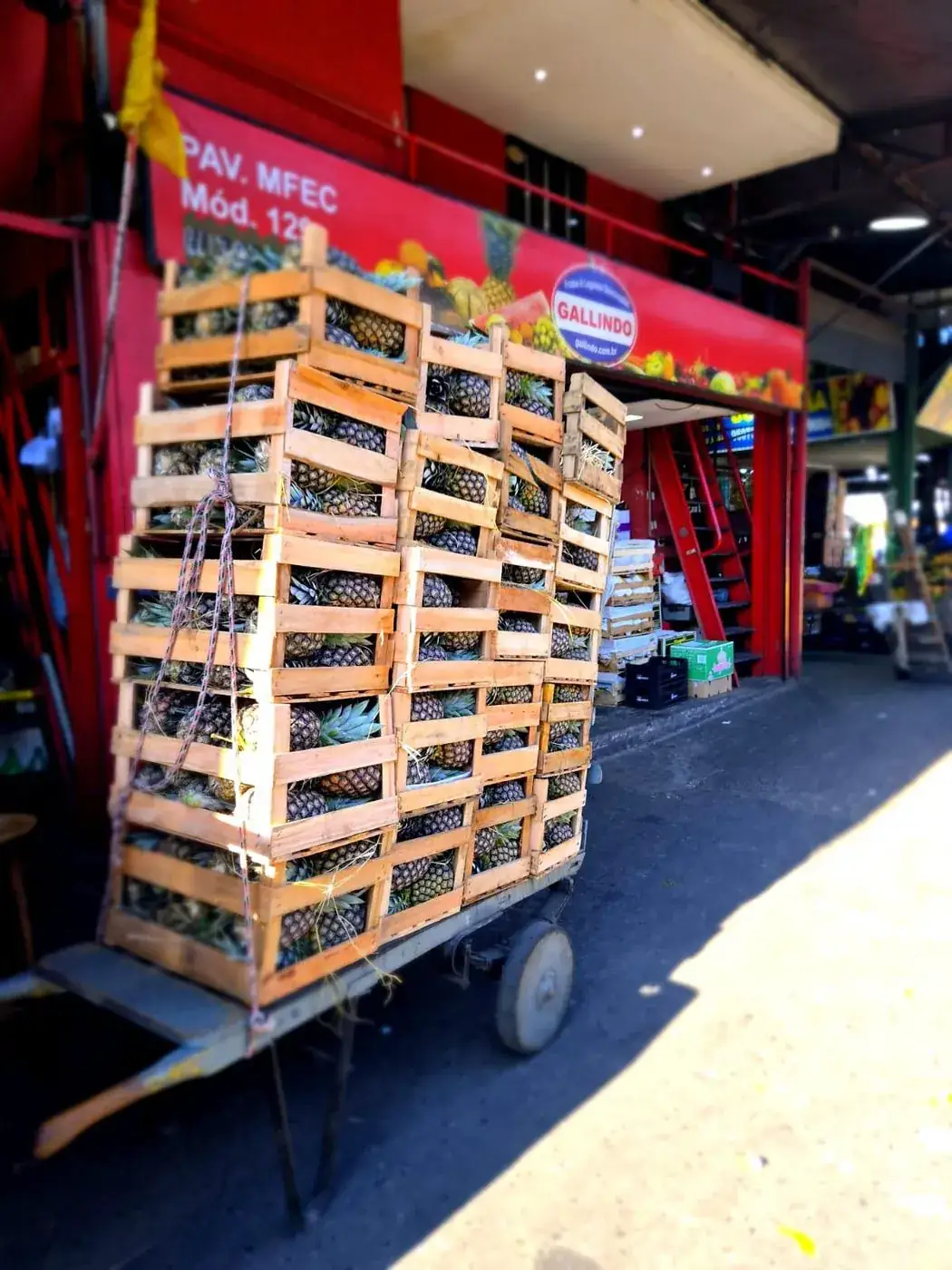 Carrinho com engradados de abacaxi em frente ao box Gallindo