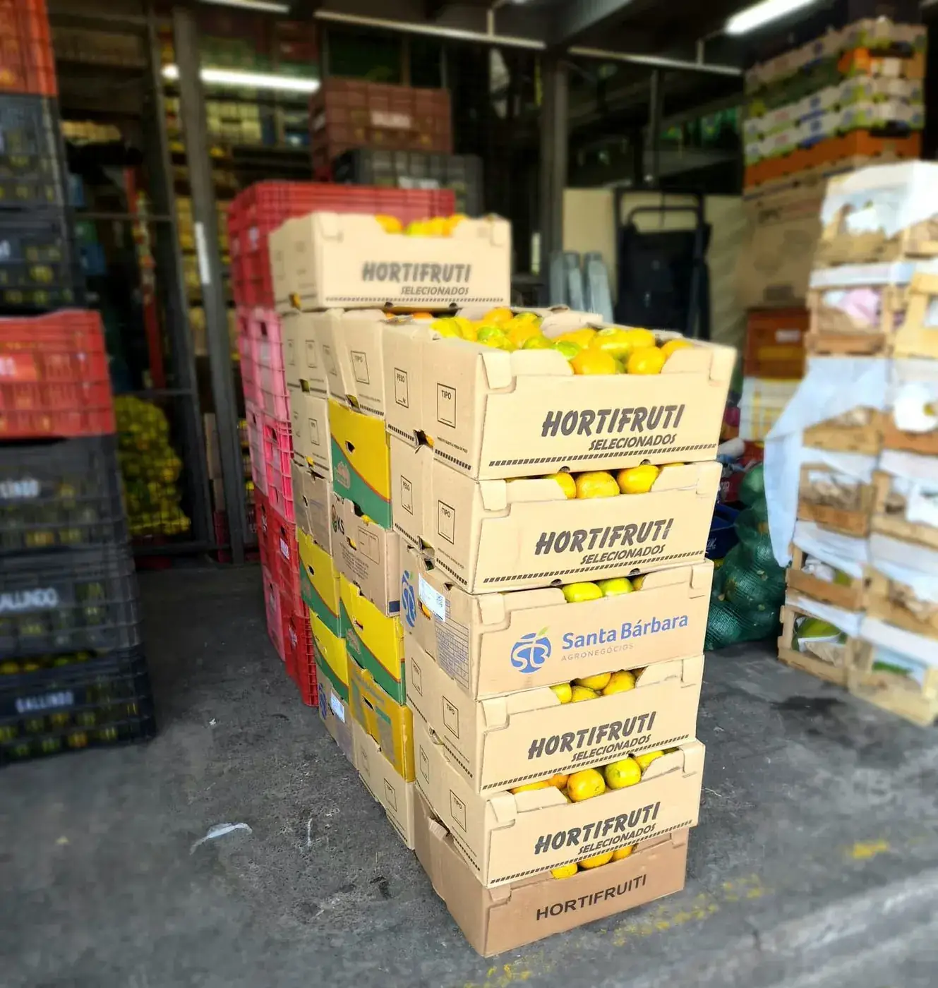 Caixas de hortifruti selecionados prontas para expedição